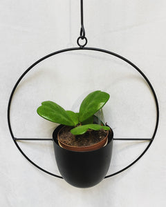 Hanging Planter circle black