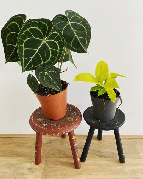 Vintage Staphorster dot art wooden plant stand stool