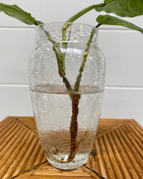 Glass craquelé vase