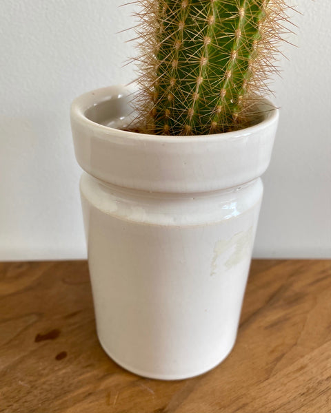 Small white pot vase