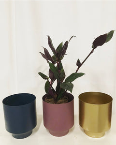 Planter metal blue, lilac or gold