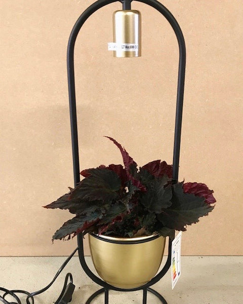 Planter Table Lamp Gold